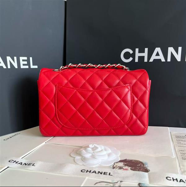 2026127205646664 380